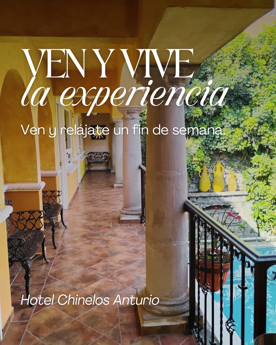 Promocional Hotel Chinelos Anturio